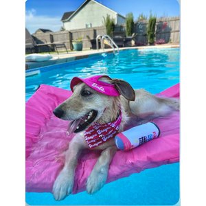 Lazy Dog Lounger Water Raft Dog Toy, Pink, Large