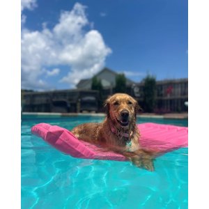 Lazy Dog Lounger Water Raft Dog Toy, Pink, Large