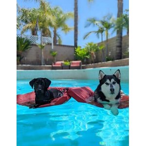 Lazy Dog Lounger Water Raft Dog Toy, Royal Blue, Large