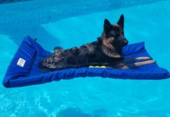 Lazy Dog Lounger Water Raft Dog Toy, Royal Blue, Large slide 2 of 7