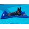 Show in main carousel: Lazy Dog Lounger Water Raft Dog Toy, Royal Blue, Large slide 7 of 9