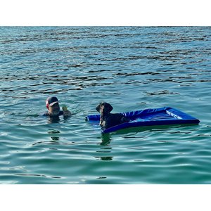 Lazy Dog Lounger Water Raft Dog Toy, Royal Blue, Large