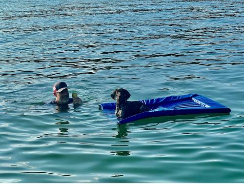 Show full view: Lazy Dog Lounger Water Raft Dog Toy, Royal Blue, Large slide 6 of 9