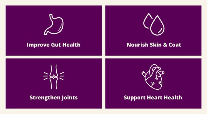 Health Extension Little Bites Chicken & Brown Rice Recipe Dry Dog Food