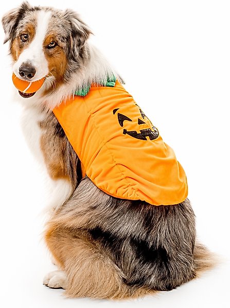 Show full view: Playology Halloween Pumpkin Spice Scented Squeaky Chew Ball Dog Toy, Orange, Jumbo slide 3 of 7