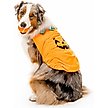 Show in main carousel: Playology Halloween Pumpkin Spice Scented Squeaky Chew Ball Dog Toy, Orange, Jumbo slide 3 of 7