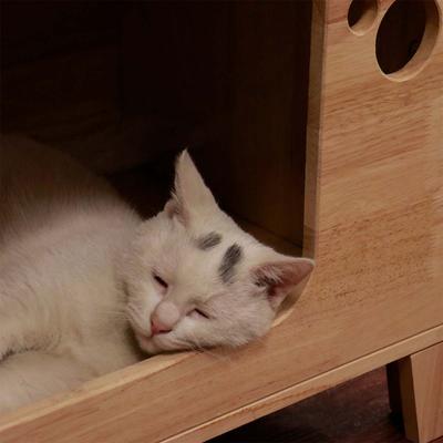 Show full view: PETOMG 29-in Cat Condo, Wood Color, Medium slide 7 of 8