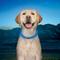Show in main carousel: Nite Ize NiteHowl Rechargeable LED Dog Safety Necklace, Blue, 12 to 27-in neck slide 7 of 10