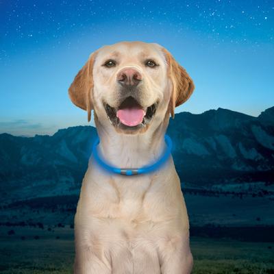 Show full view: Nite Ize NiteHowl Rechargeable LED Dog Safety Necklace, Blue, 12 to 27-in neck slide 7 of 10
