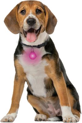Show full view: Nite Ize SpotLit Rechargeable LED Dog Collar Light, Pink slide 9 of 10