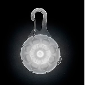 Nite Ize SpotLit Rechargeable LED Dog Collar Light, White