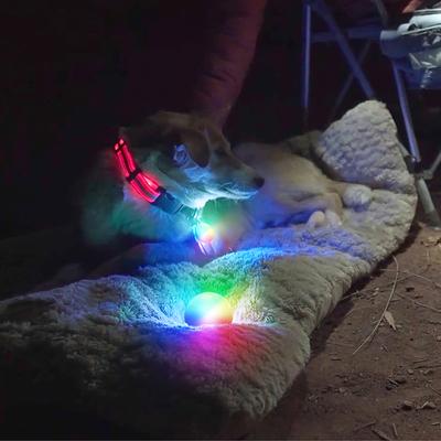 Show full view: Nite Ize SpotLit LED Disc-O Select Dog Collar Light slide 6 of 11