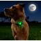 Show in main carousel: Nite Ize NiteDog Disc-O Tech Rechargeable LED Dog Collar Light slide 1 of 10