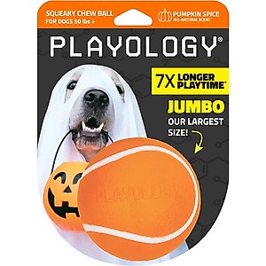 Playology Halloween Pumpkin Spice Scented Squeaky Chew Ball Dog Toy, Orange, Jumbo