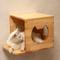 Show in main carousel: PETOMG Wall Mounted House Cat Wall Shelf, Wood Color, Medium slide 1 of 6