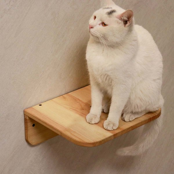 PETOMG Cat Wall Shelf