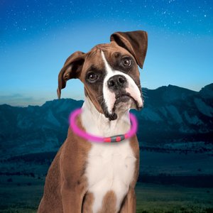 Nite Ize NiteHowl Rechargeable LED Dog Safety Necklace, Tie Dye Pink, 12 to 27-in neck