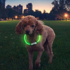 Nite Ize NiteHowl Rechargeable LED Dog Safety Necklace, Green, 12 to 27-in neck