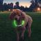 Show in main carousel: Nite Ize NiteHowl Rechargeable LED Dog Safety Necklace, Green, 12 to 27-in neck slide 5 of 10