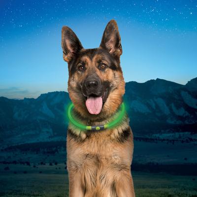Show full view: Nite Ize NiteHowl Rechargeable LED Dog Safety Necklace, Green, 12 to 27-in neck slide 2 of 10