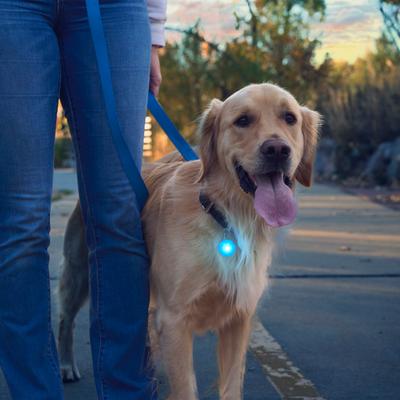 Show full view: Nite Ize SpotLit Rechargeable LED Dog Collar Light, Blue slide 3 of 10