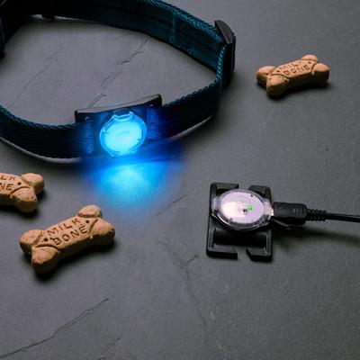 Show full view: Nite Ize NiteDog Disc-O Tech Rechargeable LED Dog Collar Light slide 5 of 10