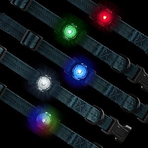 Nite Ize NiteDog Disc-O Tech Rechargeable LED Dog Collar Light