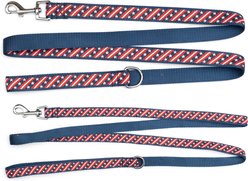 The Worthy Dog Bias Stars & Stripes Dog Leash, Red/White/Blue, Large:5-ft long, 1-in wide slide 2 of 4