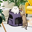 Show in main carousel: Petsfit Airline Approved Backpack Dog & Cat Carrier, Purple slide 7 of 9