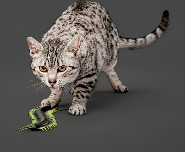 Playology Centipede Cat Toy with Catnip