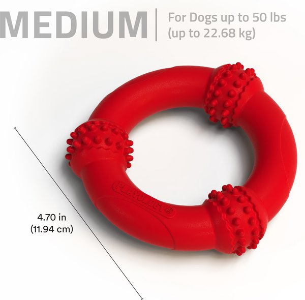 Show full view: Playology Beef Scented Young & Active Teething Nub Ring Dog Toy, Medium slide 5 of 8