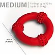 Show in main carousel: Playology Beef Scented Young & Active Teething Nub Ring Dog Toy, Medium slide 5 of 8