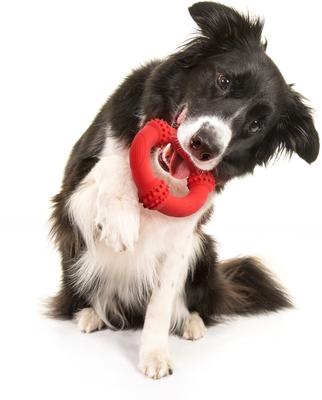 Show full view: Playology Beef Scented Young & Active Teething Nub Ring Dog Toy, Medium slide 3 of 8
