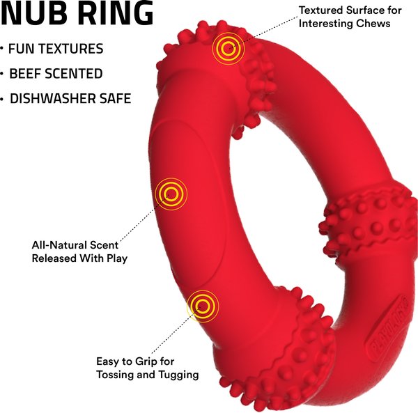 Show full view: Playology Beef Scented Young & Active Teething Nub Ring Dog Toy, Medium slide 2 of 8
