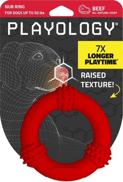 Show full view: Playology Beef Scented Young & Active Teething Nub Ring Dog Toy, Medium slide 1 of 8