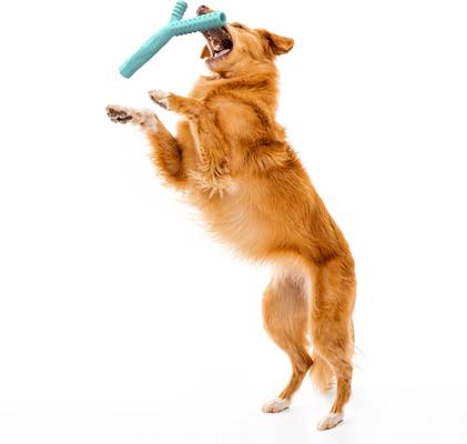 Show full view: Playology Scented Fetch Stick Dog Toy, Jumbo, Peanut Butter Scented slide 4 of 10