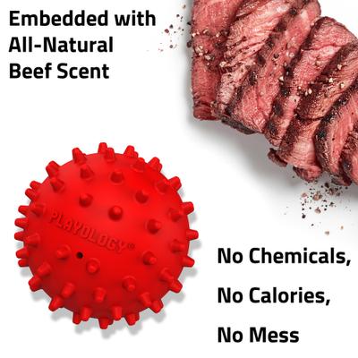 Show full view: Playology Beef Scented Spiky Squeaky Ball Dog Toy, Medium slide 4 of 8