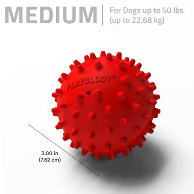 Show full view: Playology Beef Scented Spiky Squeaky Ball Dog Toy, Medium slide 5 of 8