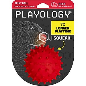 Playology Beef Scented Spikey Squeaky Ball Dog Toy, Medium