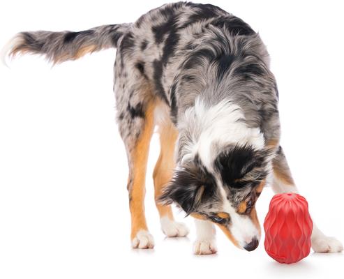 Show full view: Playology Scented Squeaky Pinecone Dog Toy, Jumbo, Beef Scented slide 4 of 10