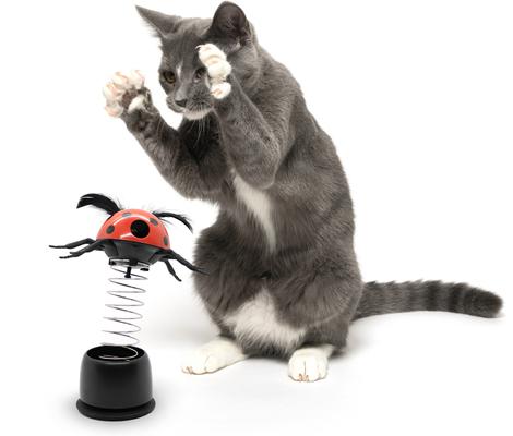 Show full view: Playology Pop-Up Ladybug Treater Cat Toy Treat Dispenser slide 5 of 8