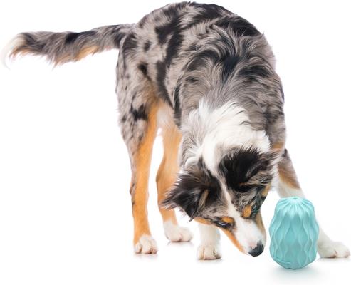 Show full view: Playology Peanut Butter Scented Squeaky Pinecone Dog Toy, Jumbo slide 3 of 9