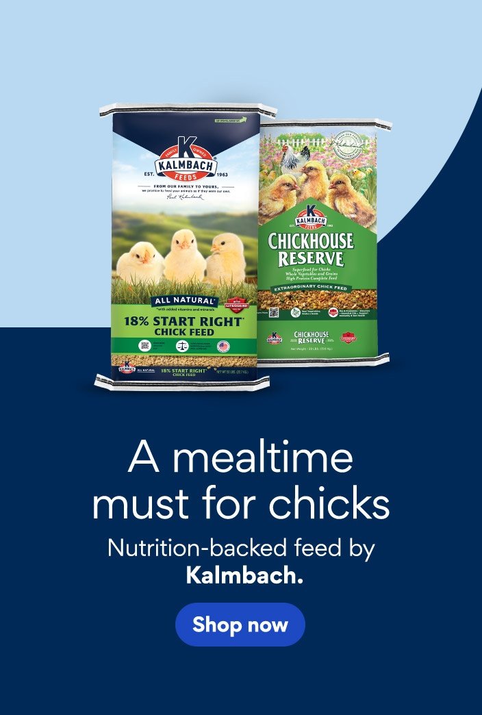 A mealtime must for chicks. Nutrition-backed feed by Kalmbach.