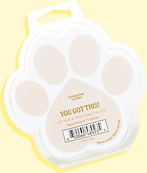 Companion Candles You Got This! Tropical Nectar & Florals Scented Pet-Friendly Wax Melt, 3-oz jar slide 2 of 2