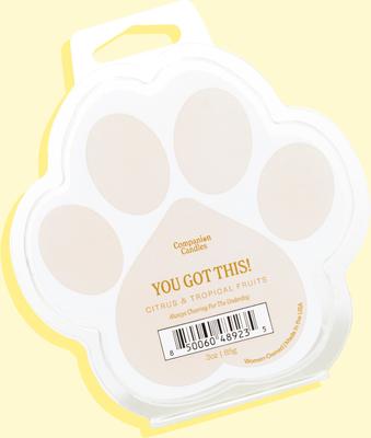 Show full view: Companion Candles You Got This! Tropical Nectar & Florals Scented Pet-Friendly Wax Melt, 3-oz jar slide 2 of 3