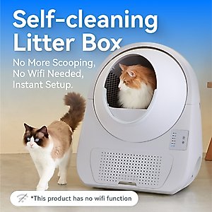 CATLINK Scooper ProX Young Self Cleaning Cat Litter Box
