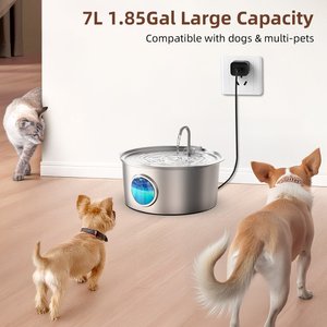 Casfuy PWS-140 Quiet Stainless Steel Dog Water Fountain with Water Level Window, 230-oz