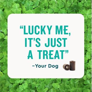 VetIQ Pill Treats Advanced Formula Soft Chews Chicken Flavored Dog Treats, 30 count