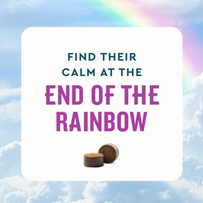 Show full view: VetIQ Calming Soft Chew Calming Supplement for Dogs, 60 count slide 4 of 10