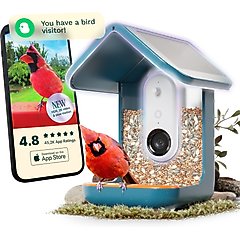 Bird Buddy PRO Solar Smart Bird Feeder, Blue